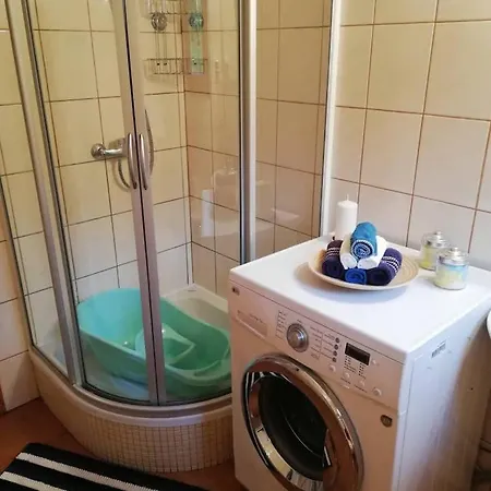 Klimatyczny W Lesie Przy Jeziorze *