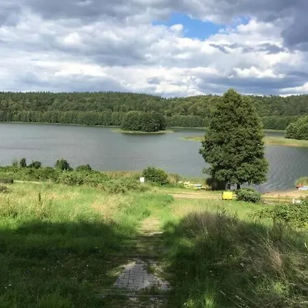 Klimatyczny W Lesie Przy Jeziorze *