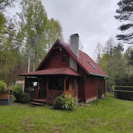 Klimatyczny W Lesie Przy Jeziorze