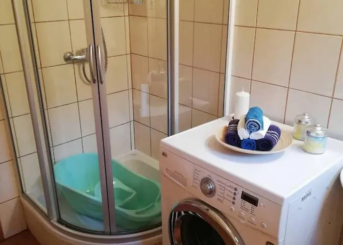 Klimatyczny W Lesie Przy Jeziorze *