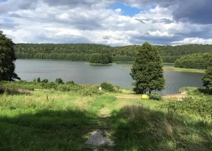 Klimatyczny W Lesie Przy Jeziorze *