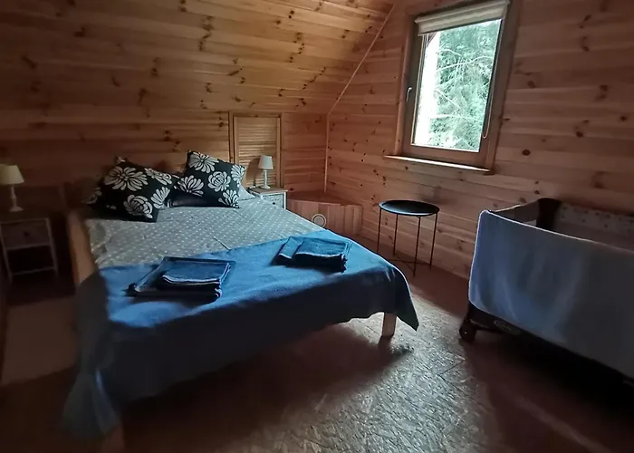 Hébergement de vacances Klimatyczny W Lesie Przy Jeziorze Gietrzwałd