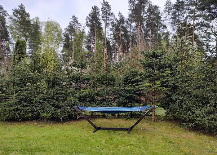 Hébergement de vacances Klimatyczny W Lesie Przy Jeziorze Gietrzwałd