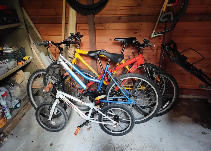 Klimatyczny W Lesie Przy Jeziorze