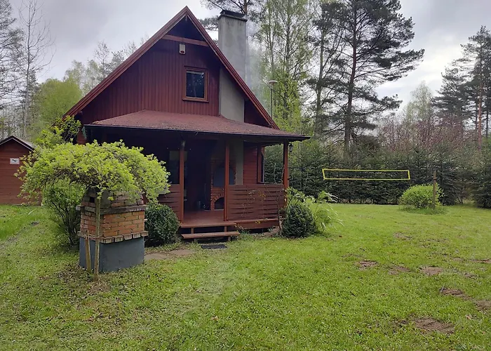 Klimatyczny W Lesie Przy Jeziorze